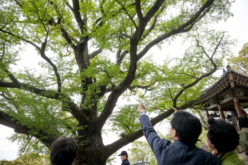 2025. 5. 5. 불기2569년 부처님 오신날 - 남양주 수종사_39
