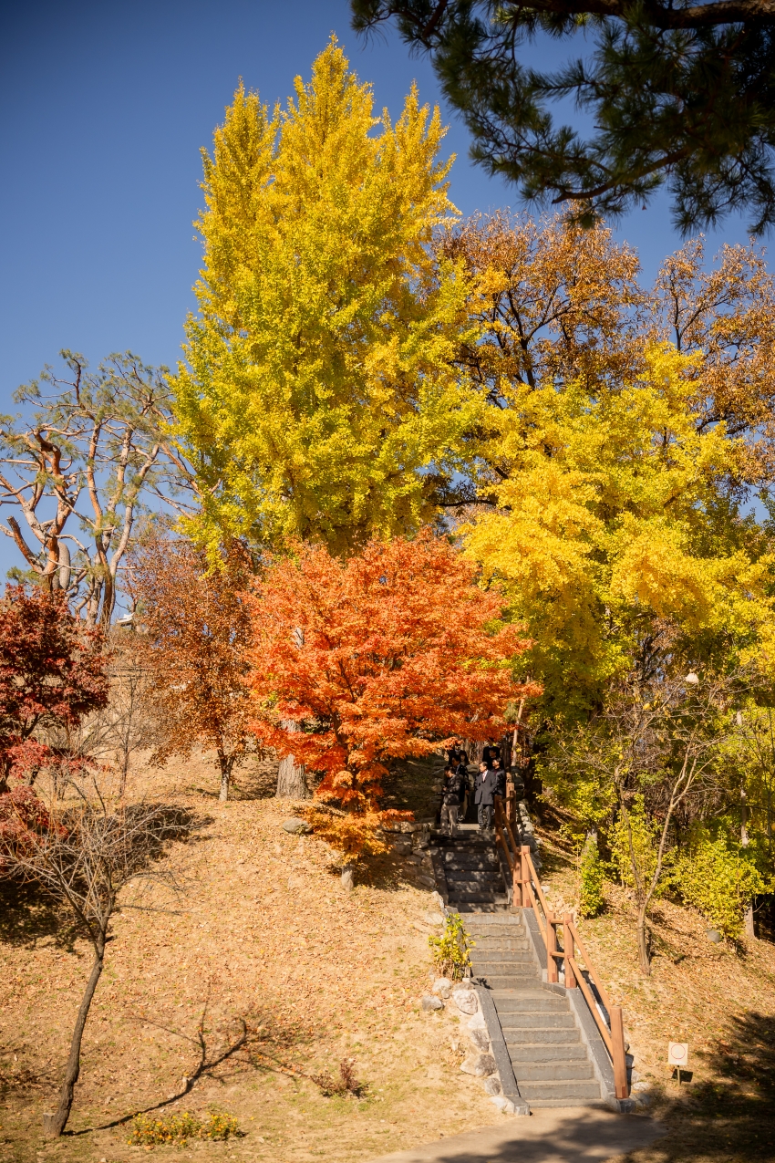 2025. 11. 14. 경기동부권시군의회 제12회 의정활동 우수의원 및 시상식_187