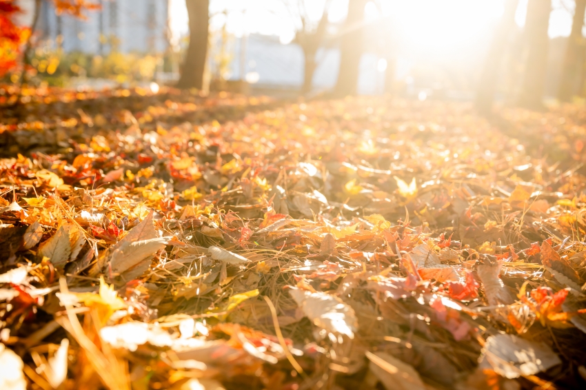 2025. 11. 14. 2025년 남양주시 보육 페스티벌_0